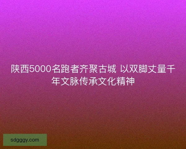 陕西5000名跑者齐聚古城 以双脚丈量千年文脉传承文化精神