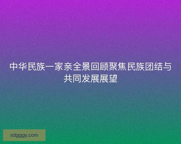 中华民族一家亲全景回顾聚焦民族团结与共同发展展望